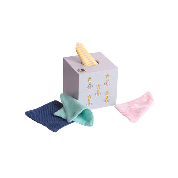 Sensory Tissue Box